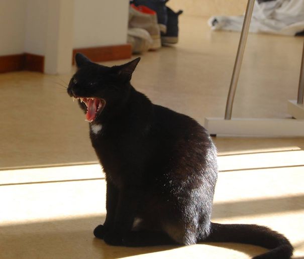 Juno, "this Is Sparta!"