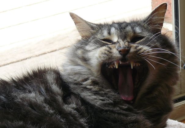 Come Here... I Dare You