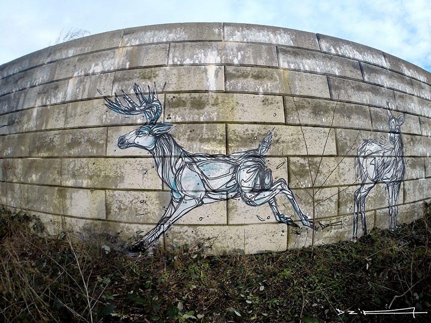 street-art-geometric-line-animals-dzia-belgium-3 street-art-geometric-line-animals-dzia-belgium-3