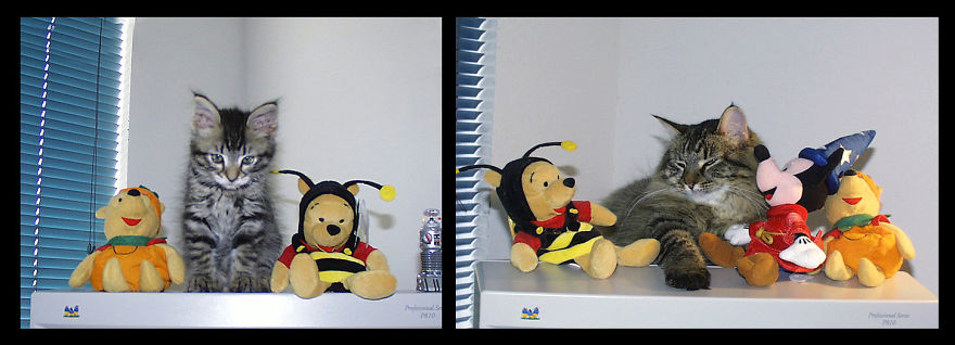 Tigger Reenacting A Scene From "e.t."