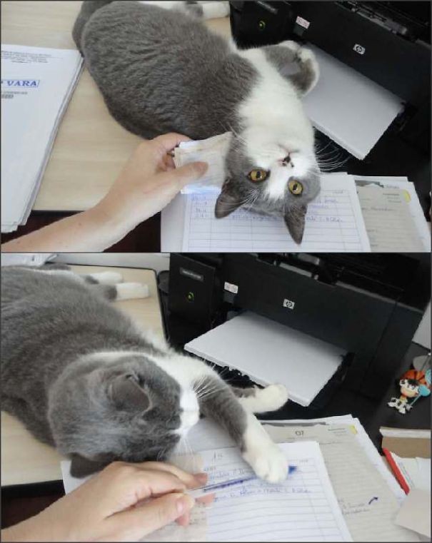 Enough Of Working... Time To Play With Me, Don't You Think?