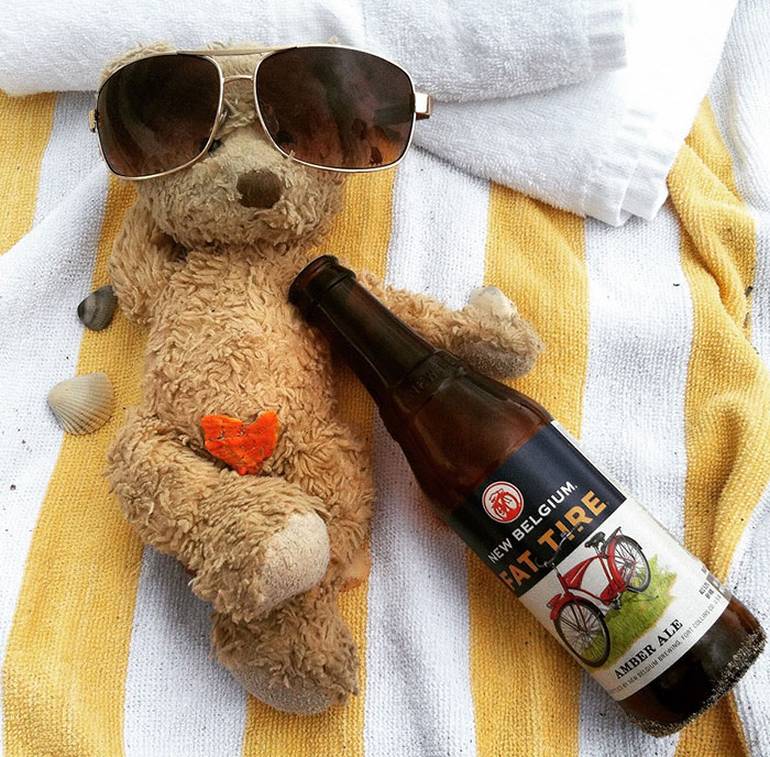 Everything Is Pawsibble: Pictures Of Bruno The Bear Travelling The World