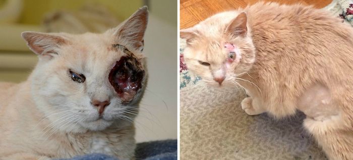 Tyrone (tenderness For Tyrone)