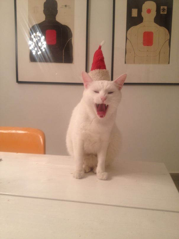 Even On Christmas...