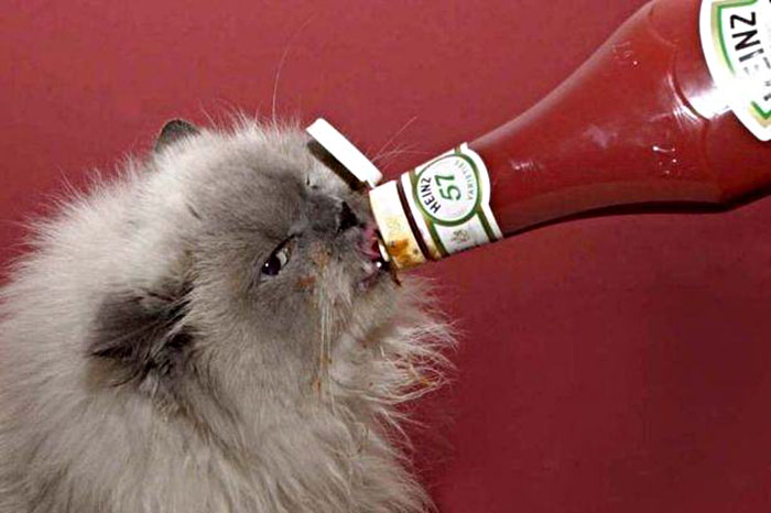 Tonight We're Drinking From The Bottle!