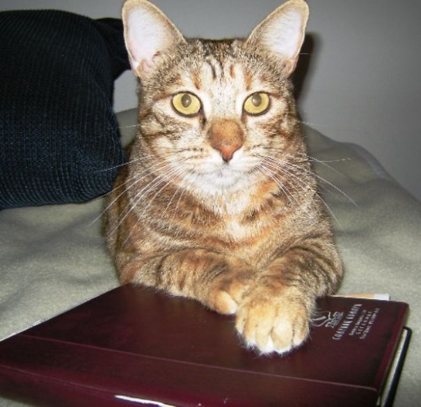 You Want The Book? First To Talk