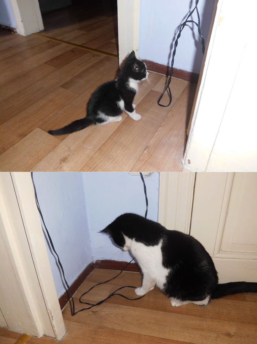 Now And Two Years Before The Same Curiosity