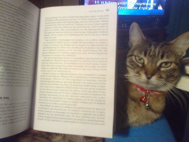 I Am Watching You ......