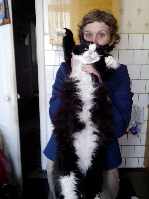 Rox From Saint-petersburg