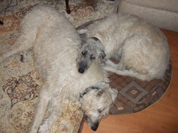 You Make A Nice Pillow