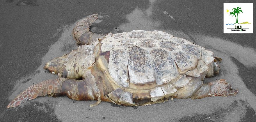 The Tunisian Chemical Group Ecocide In Gabes (tunisia)