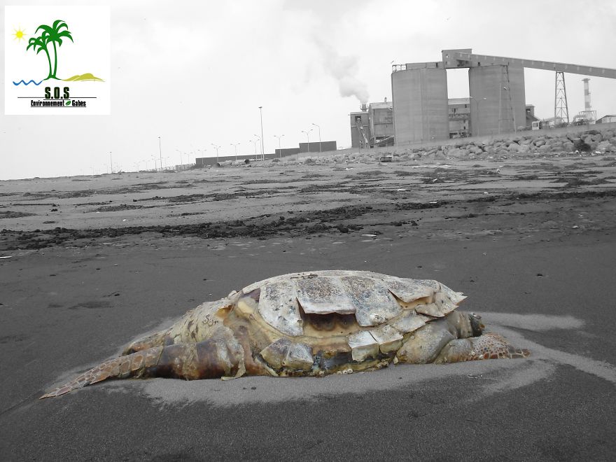 The Tunisian Chemical Group Ecocide In Gabes (tunisia)