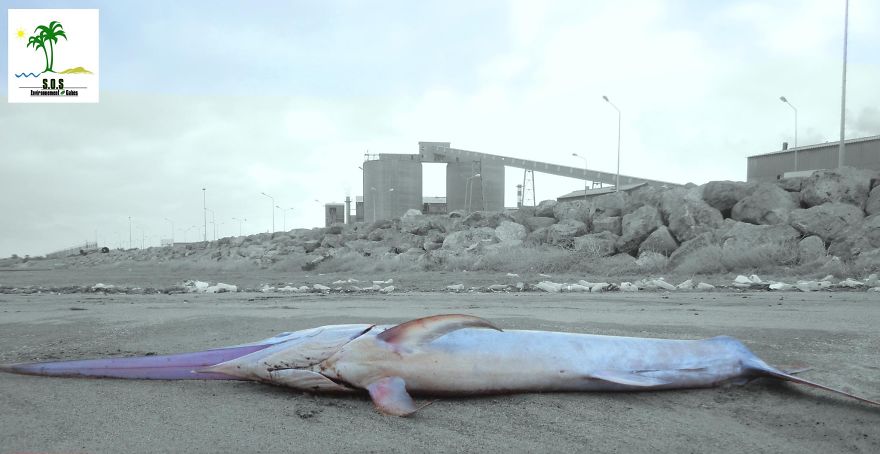 The Tunisian Chemical Group Ecocide In Gabes (tunisia)