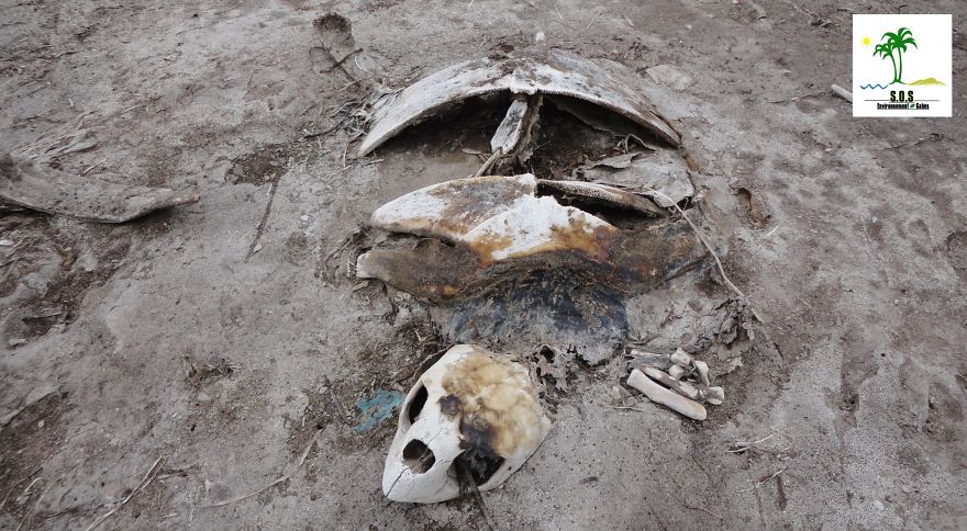 The Tunisian Chemical Group Ecocide In Gabes (tunisia)