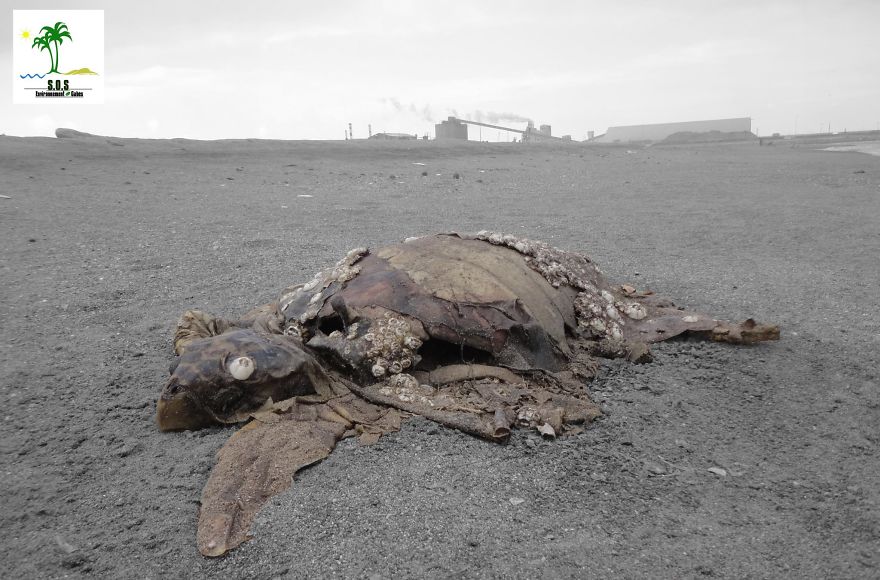 The Tunisian Chemical Group Ecocide In Gabes (tunisia)