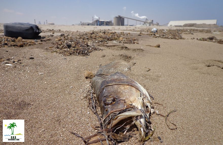 The Tunisian Chemical Group Ecocide In Gabes (tunisia)