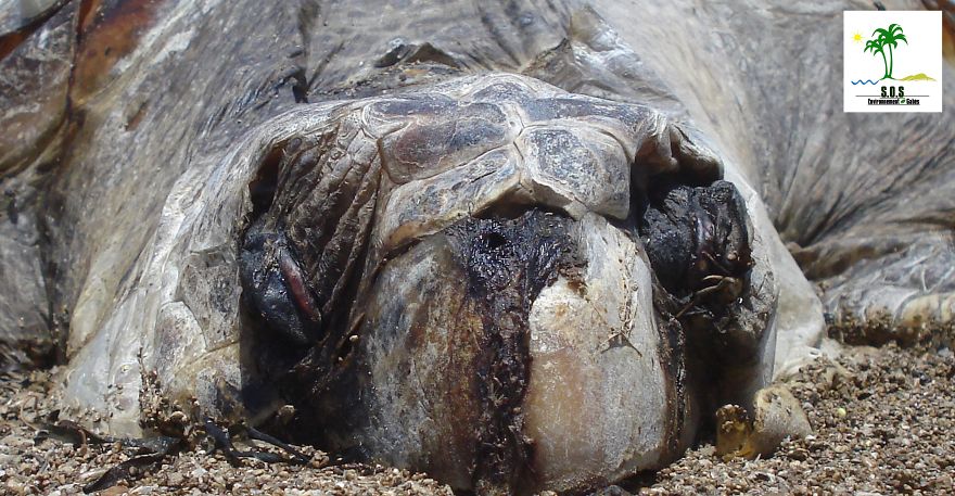 The Tunisian Chemical Group Ecocide In Gabes (tunisia)