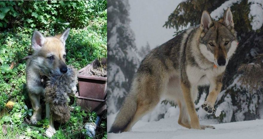 Doreen One Year Apart