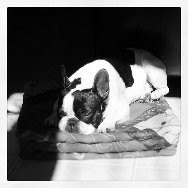 Ina Taking A Sunbath