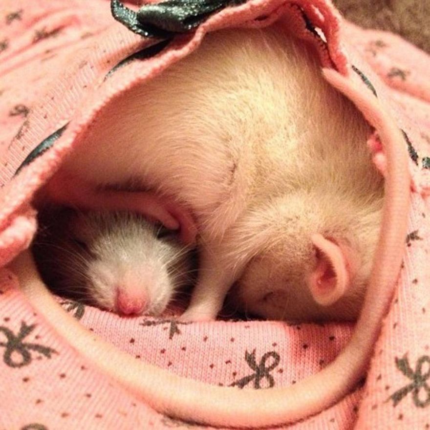 Snug
