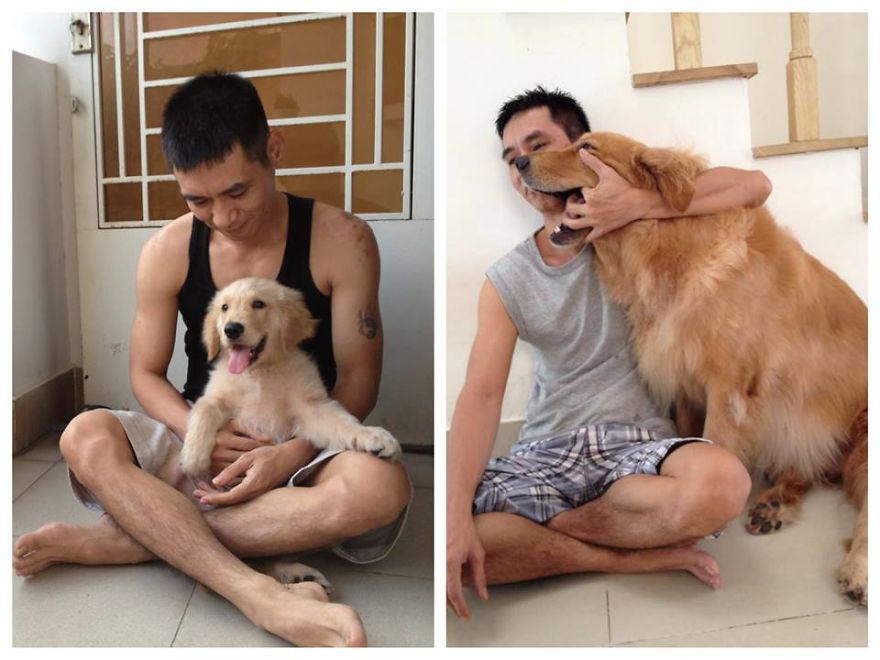 When You Buy A Puppy, You Never Think That One Day He Will Become A Beast :d