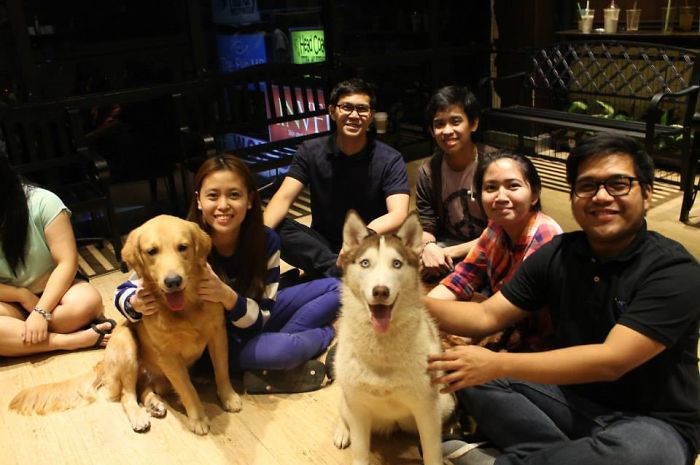 Barkin' Blends Dog Cafe