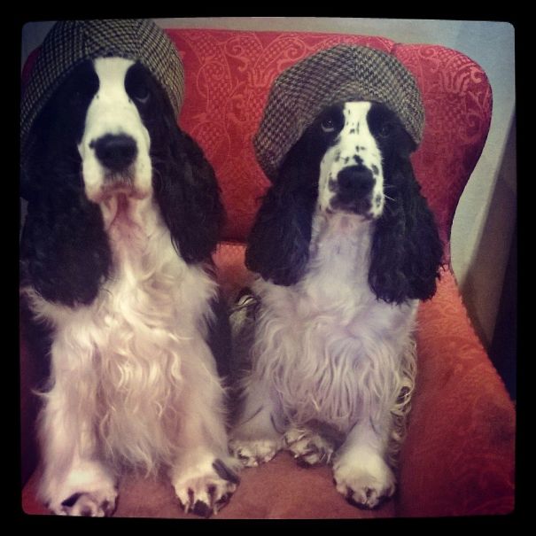 Yes, We're Siblings - Does It Show?