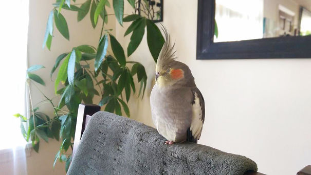 Sleeping On A Heating Pad