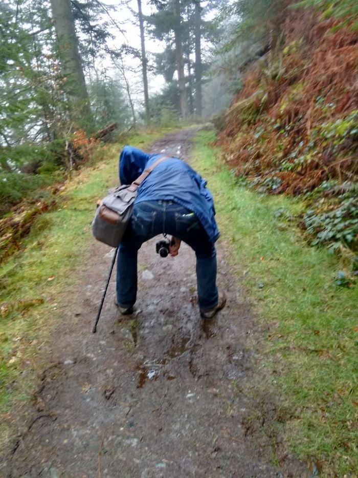 Ghetto Landscape Style