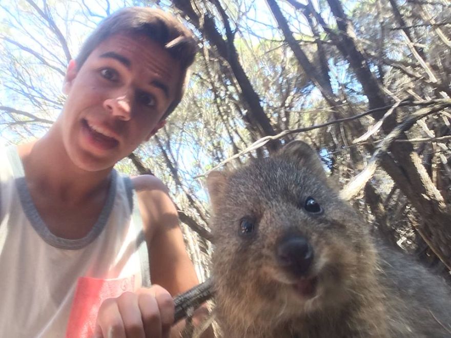Quokka Bomb