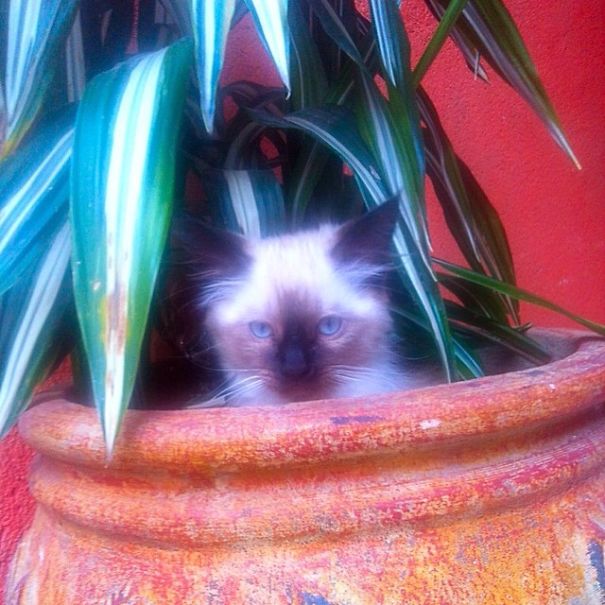 Camila Love Sleeping In Pots