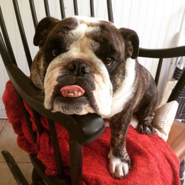 Can I Have Some Too Please?