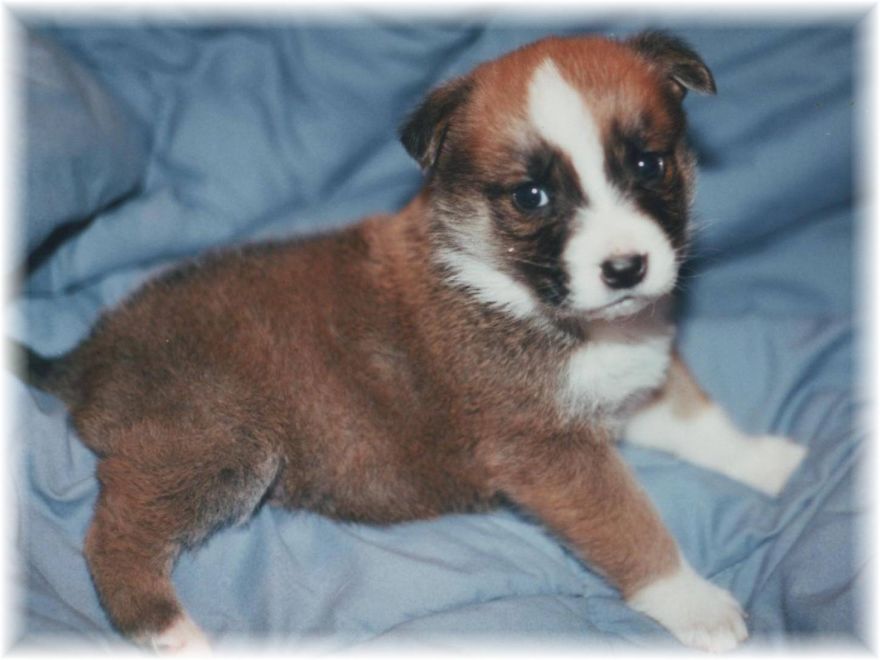 Maggie At 3 Weeks And At 17 Years.