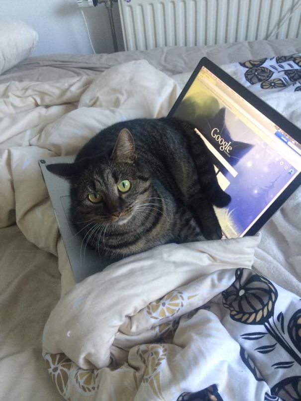 "i Have To Get Off You Say?"