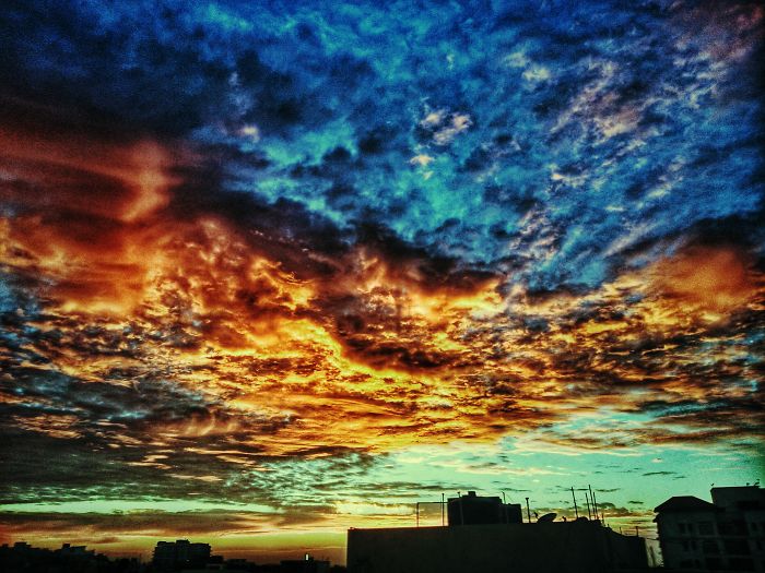 Flaming Dragon Or Phoenix....??