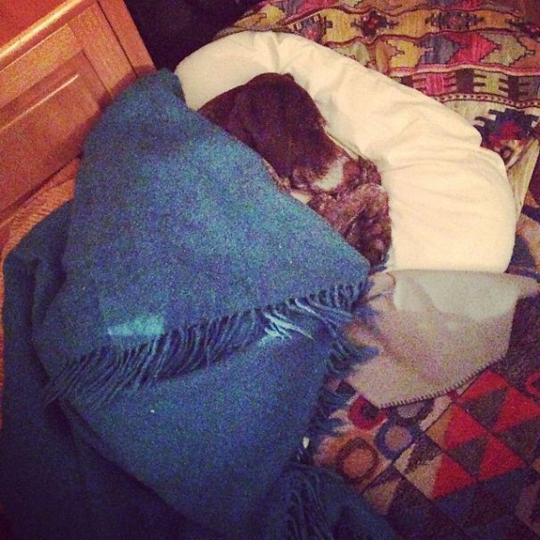 Like A Warm Cinnamon Bun