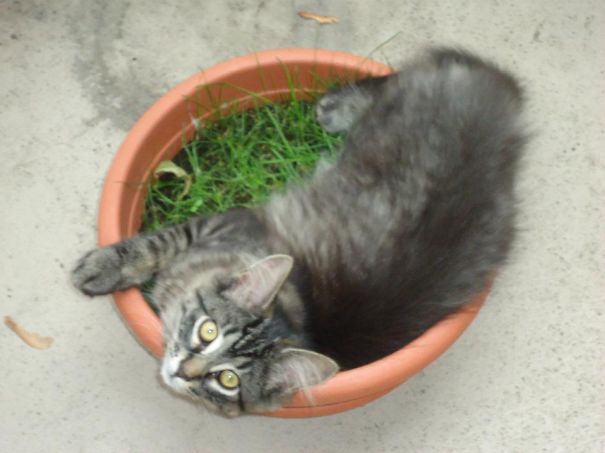 Penny On The Balcony!!
