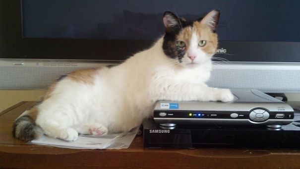 My Hands Were Cold....