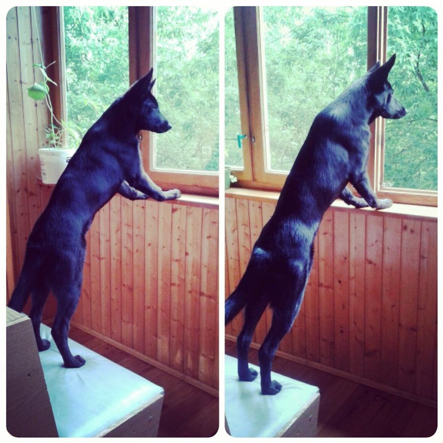 Astra. One Year Difference.