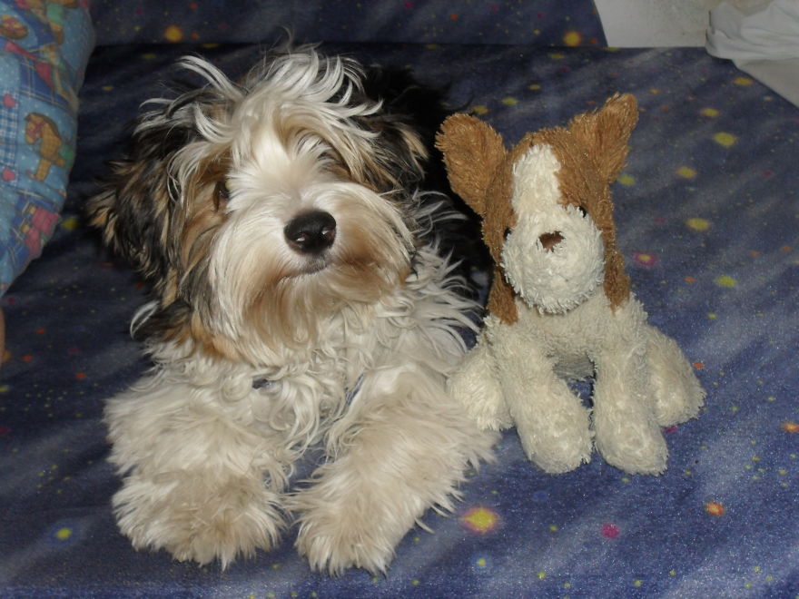 Oszkár: 10 Weeks, 6 Monthes, 1 Year