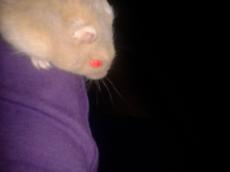 My Red-eyes Valentina :)