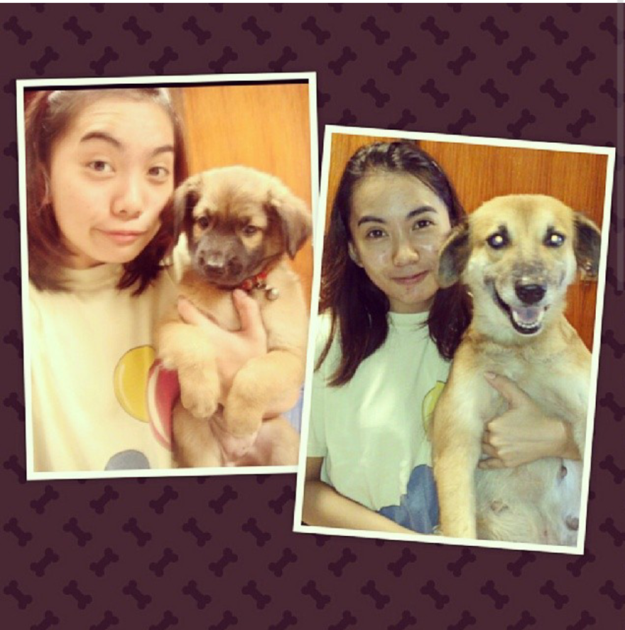 Poofy At 3 Mos. And 6 Years