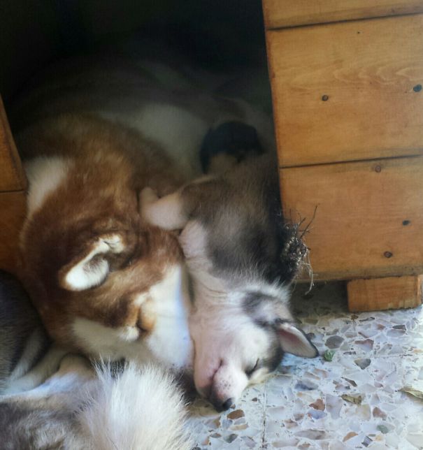 Grandma And Grandson