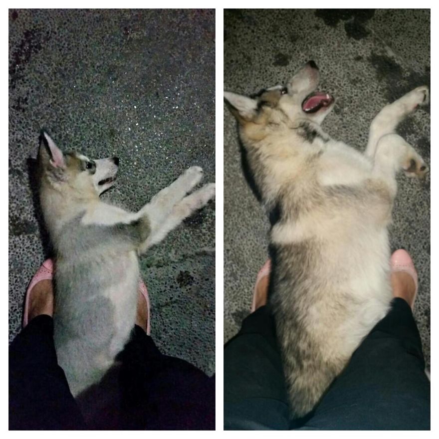 Bonbon At 3 Mos. And 7 Mos.