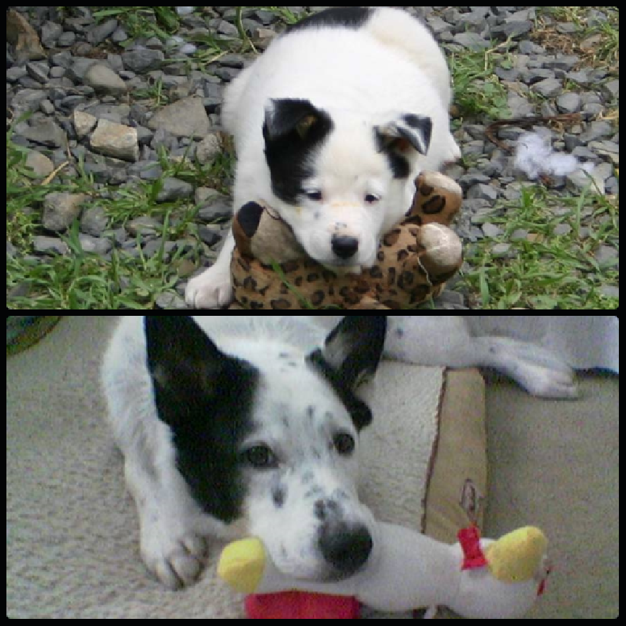 One Year Later, Asher Still Puts His Toys In Their Place