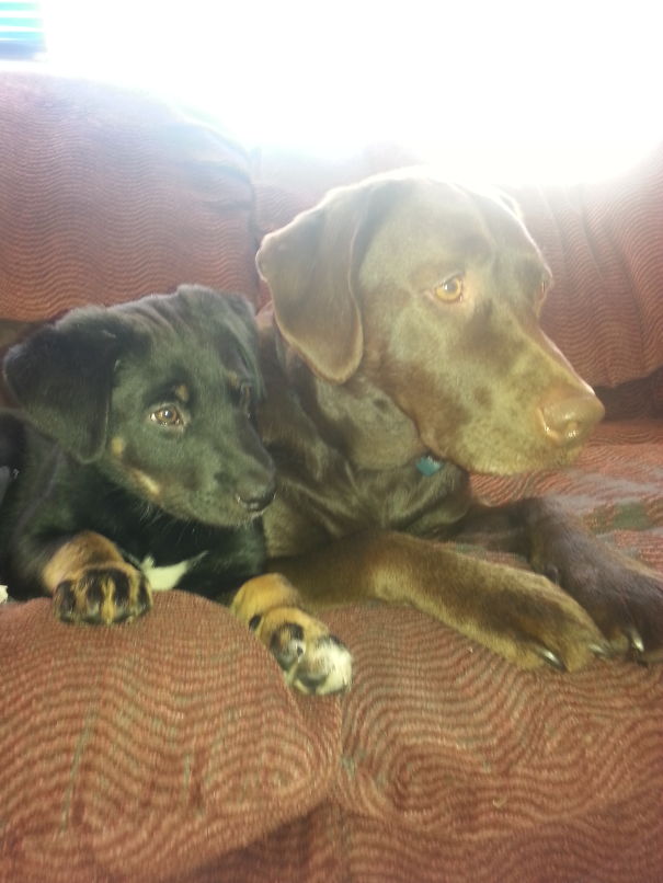 Having Fun Watching Tv Together