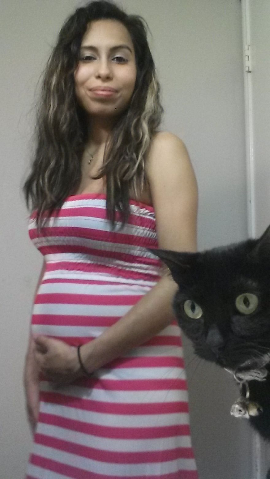 My Cat Photobombing Me