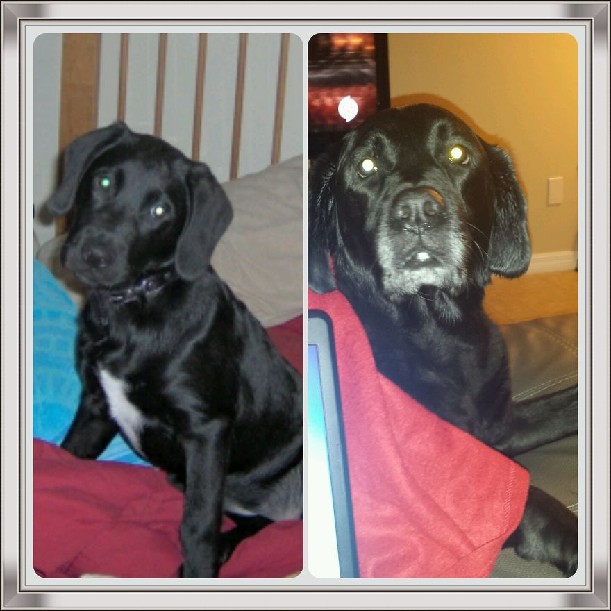 10 Years Later.. Still My "baby"