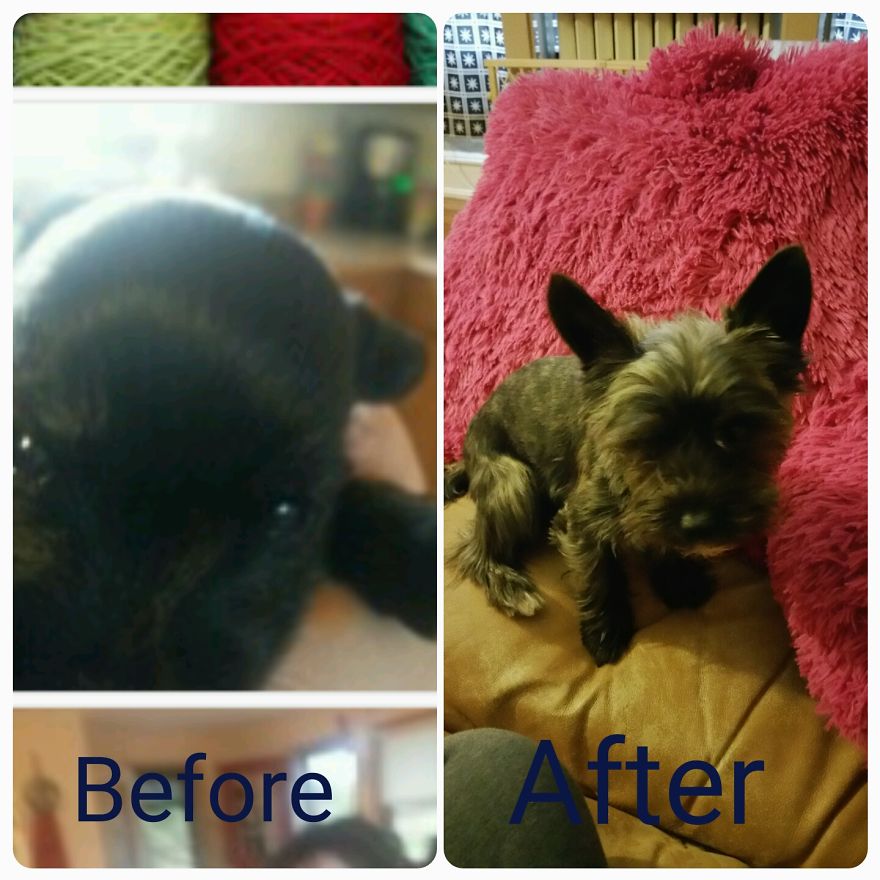 Little Bear From 1 Week To 1 Year