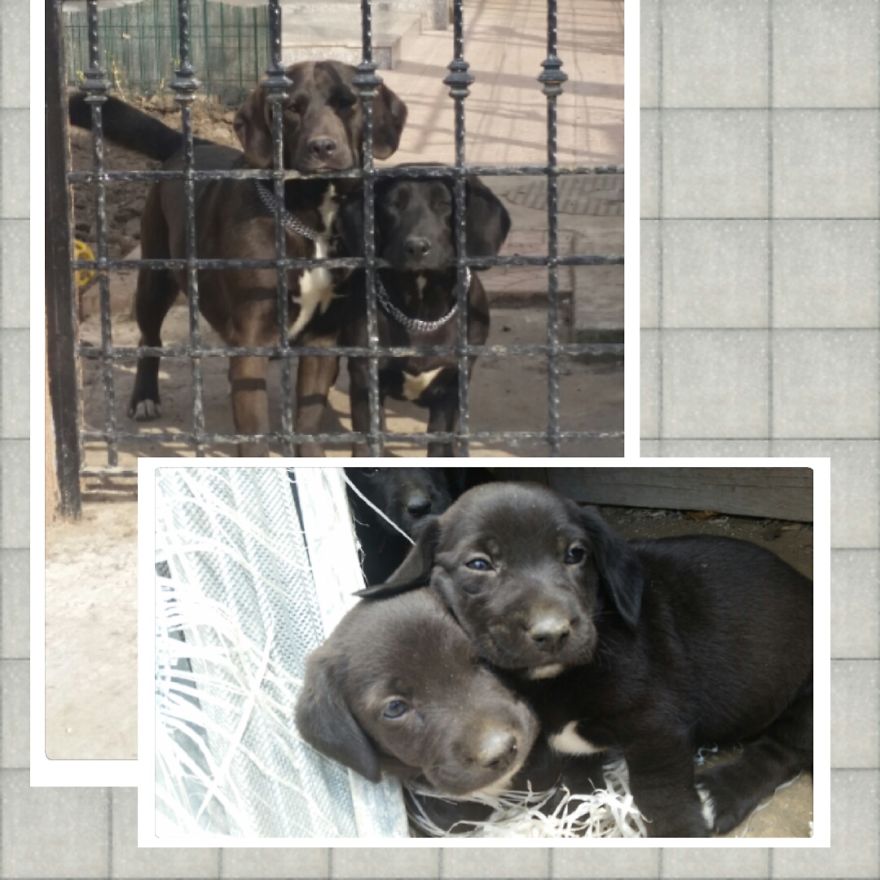 One Year Apart... But Never Apart! :)